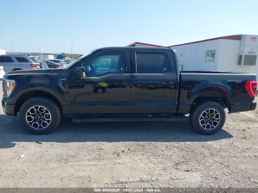 2023 FORD F-150 XLT - 1FTFW1E56PFA63016