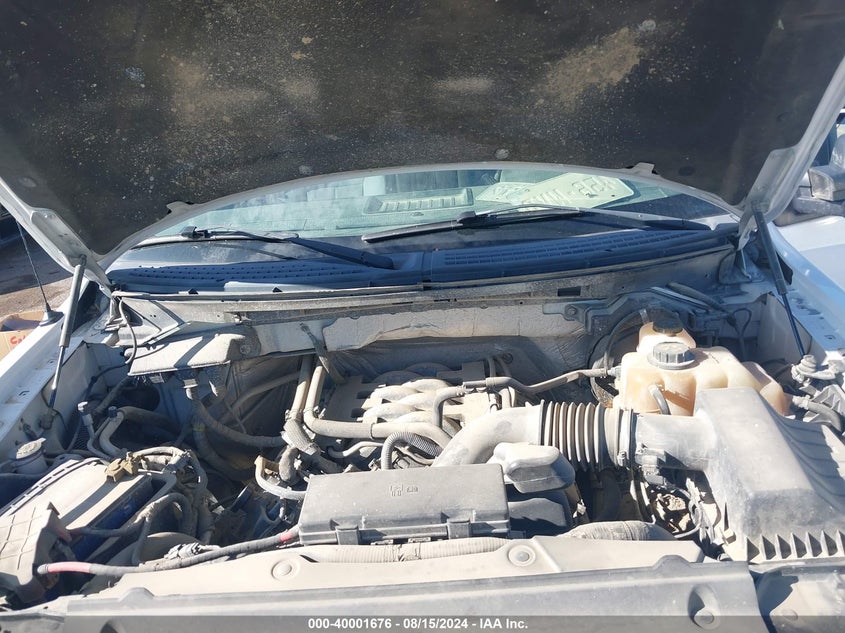 2011 Ford F150 Supercrew VIN: 1FTFW1EF8BKD49684 Lot: 40001676