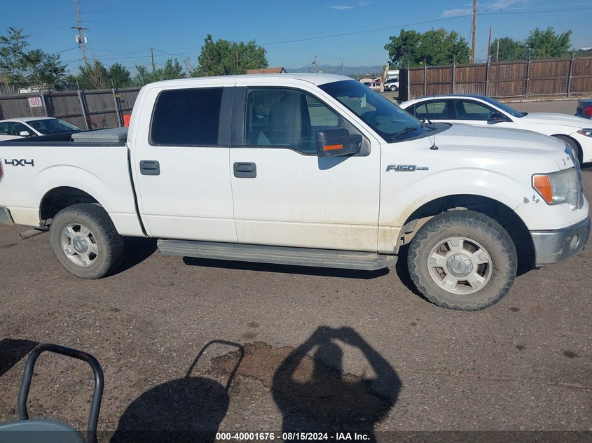 2011 Ford F150 Supercrew VIN: 1FTFW1EF8BKD49684 Lot: 40001676