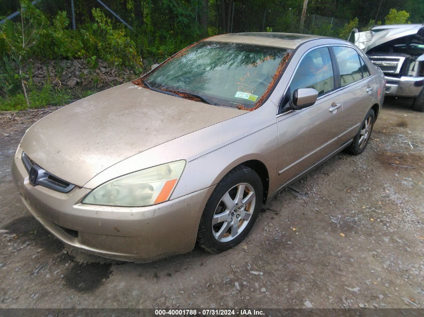 1HGCM66505A016239 | 2005 HONDA ACCORD