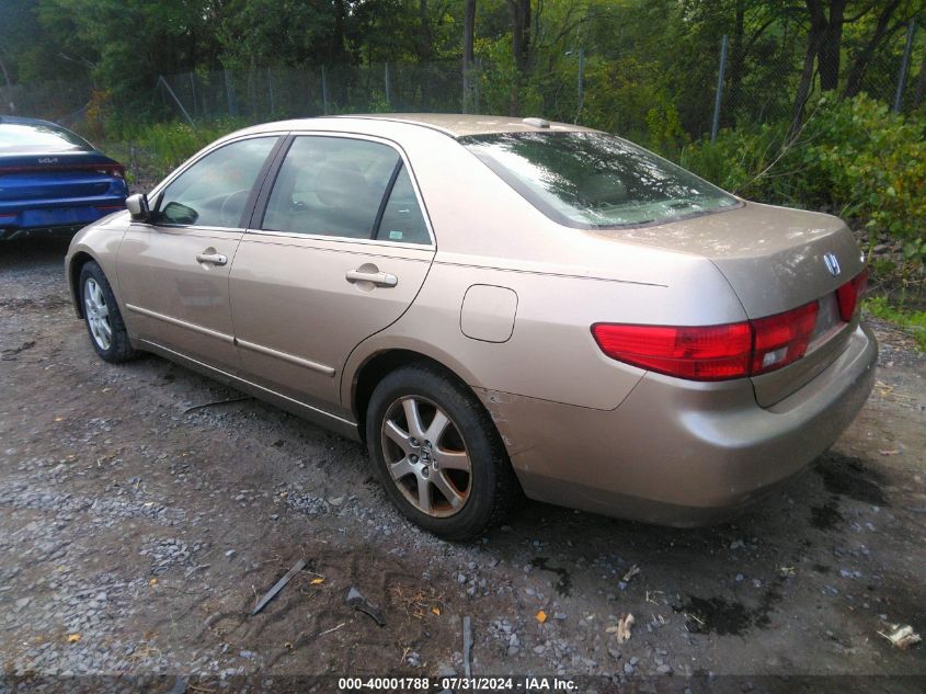 1HGCM66505A016239 | 2005 HONDA ACCORD