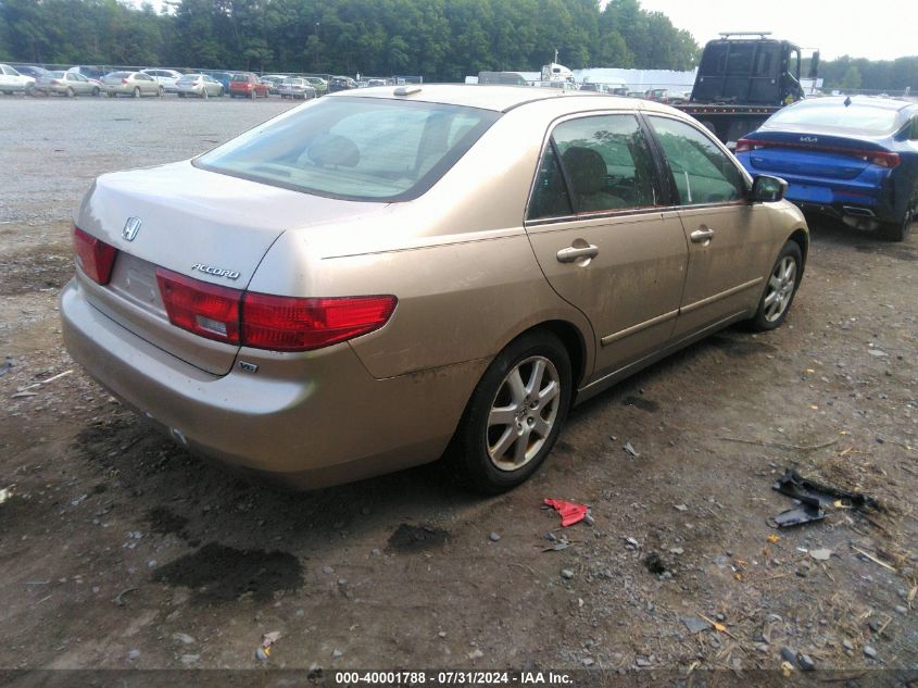 1HGCM66505A016239 | 2005 HONDA ACCORD