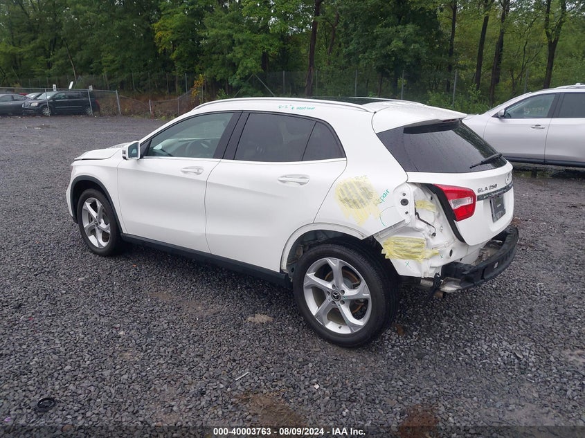 2019 MERCEDES-BENZ GLA 250 4MATIC - WDCTG4GB8KU013298