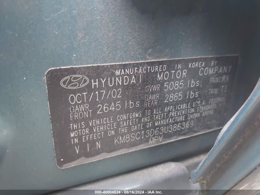 2003 Hyundai Santa Fe Gls/Lx VIN: KM8SC13D63U386369 Lot: 40004524