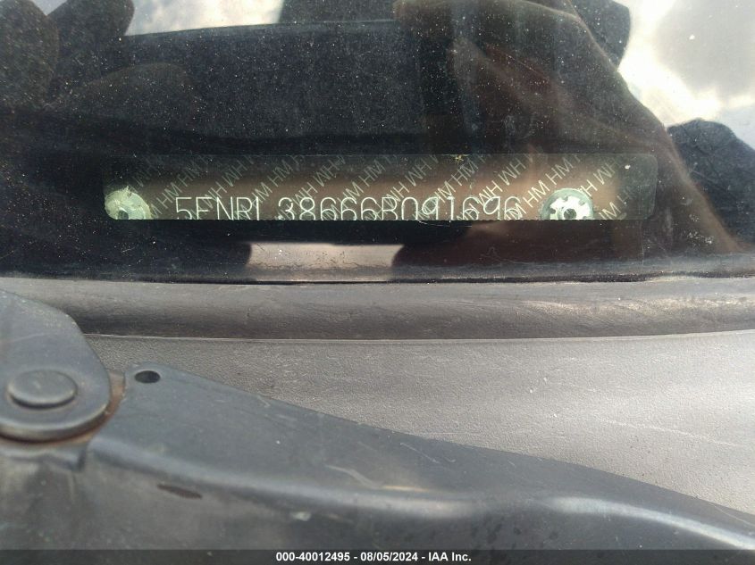 2006 Honda Odyssey Ex-L VIN: 5FNRL38666B091696 Lot: 40012495