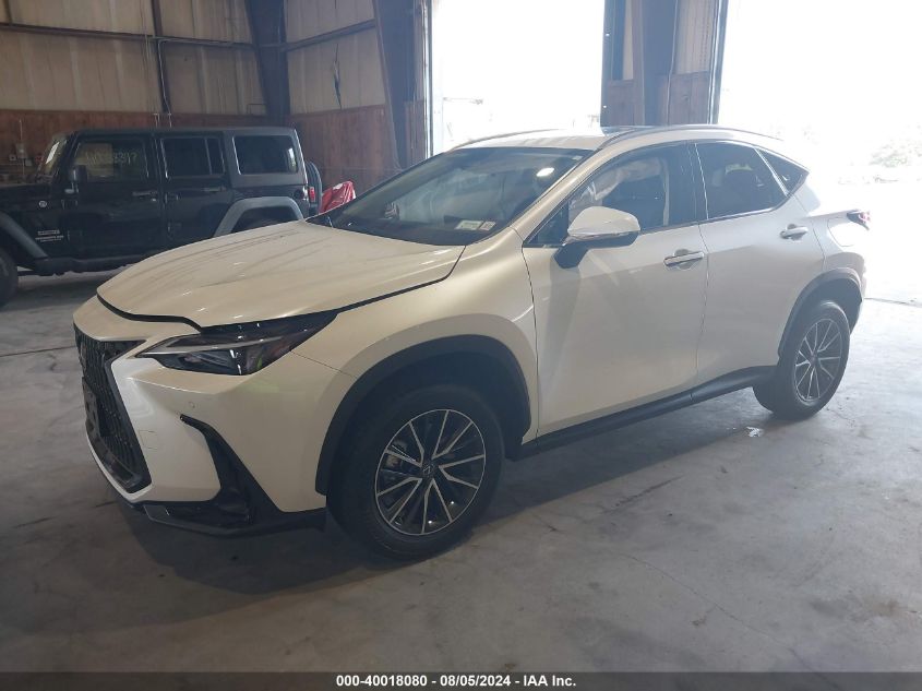 JTJGKCEZ2R2023148 2024 LEXUS NX - Image 2