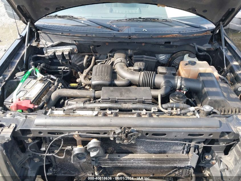 2009 Ford F-150 Fx4/King Ranch/Lariat/Platinum/Xl/Xlt VIN: 1FTPW14V59FA81676 Lot: 40018636