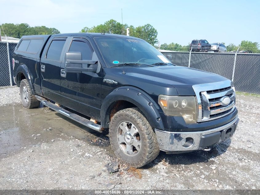 1FTPW14V59FA81676 | 2009 FORD F-150