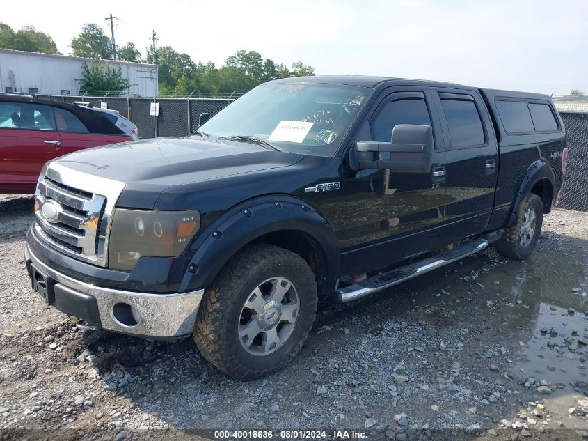 1FTPW14V59FA81676 | 2009 FORD F-150