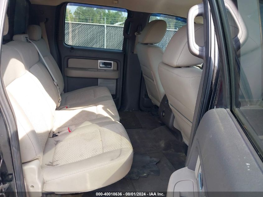 2009 Ford F-150 Fx4/King Ranch/Lariat/Platinum/Xl/Xlt VIN: 1FTPW14V59FA81676 Lot: 40018636