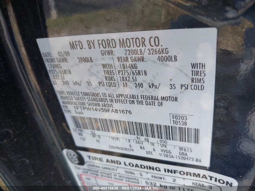 2009 Ford F-150 Fx4/King Ranch/Lariat/Platinum/Xl/Xlt VIN: 1FTPW14V59FA81676 Lot: 40018636