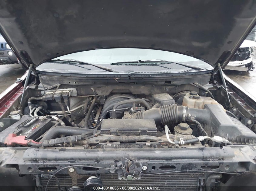 2010 Ford F-150 Fx2 Sport/Stx/Xl/Xlt VIN: 1FTEX1C88AFB44130 Lot: 40018655