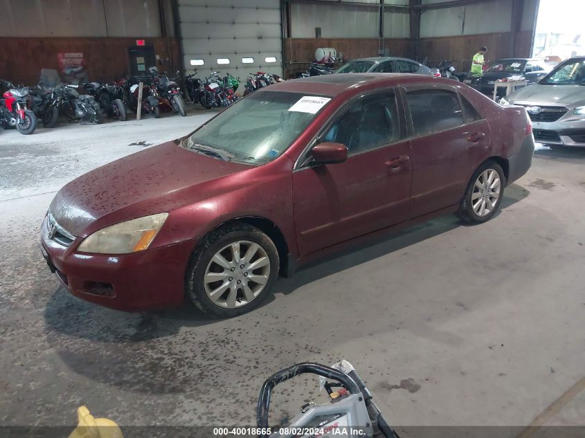 1HGCM66526A002392 | 2006 HONDA ACCORD