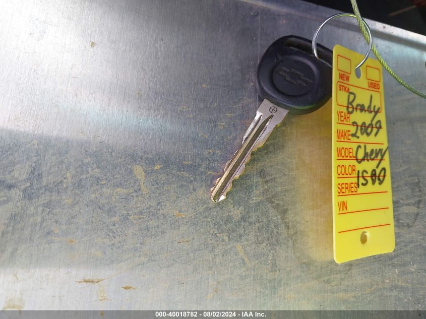 2009 Chevrolet Silverado 1500 Work Truck VIN: 1GCEC14X79Z237507 Lot: 40018782