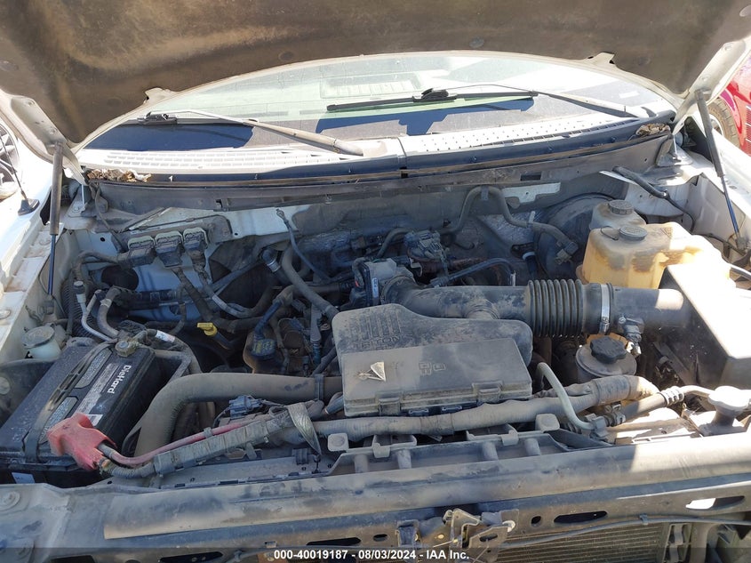 2010 Ford F-150 Stx/Xl VIN: 1FTEX1CW7AFD20146 Lot: 40019187