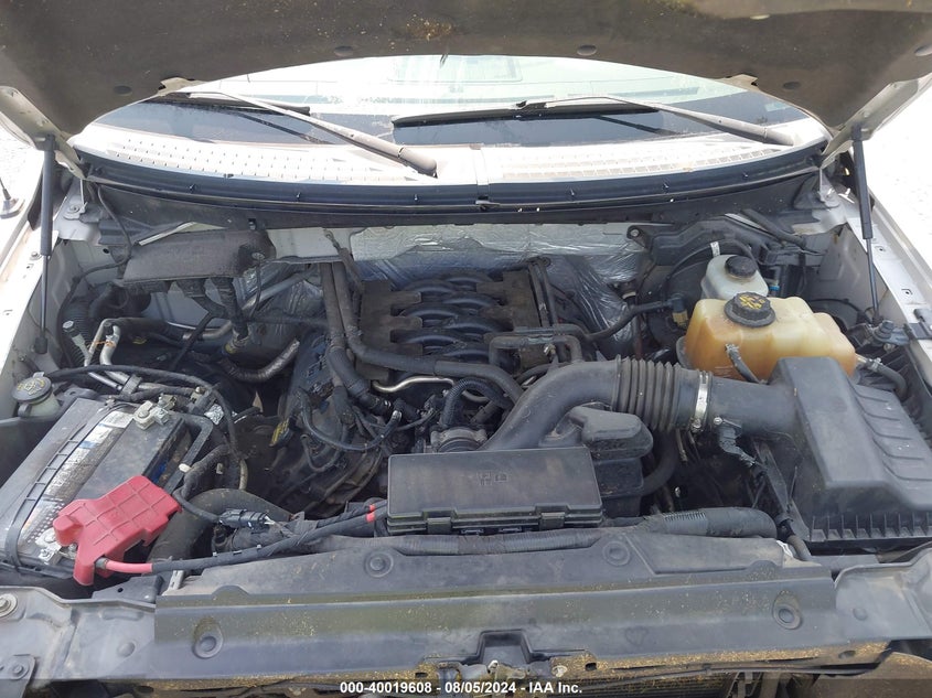 2011 Ford F-150 Xlt VIN: 1FTFX1EF4BFA76670 Lot: 40019608