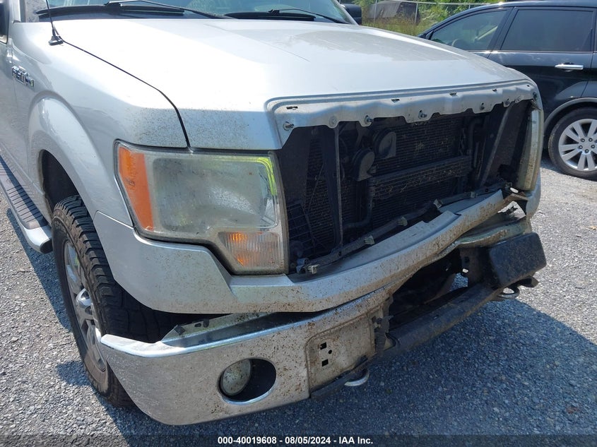 2011 Ford F-150 Xlt VIN: 1FTFX1EF4BFA76670 Lot: 40019608