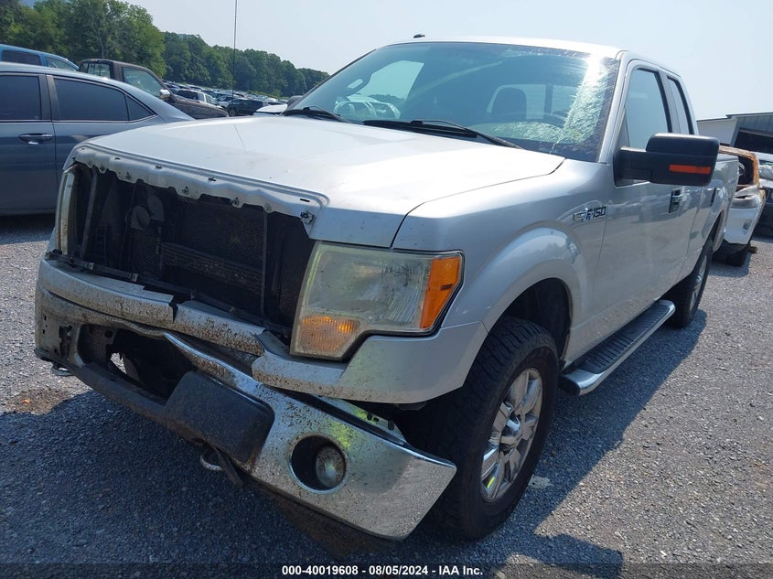 2011 Ford F-150 Xlt VIN: 1FTFX1EF4BFA76670 Lot: 40019608