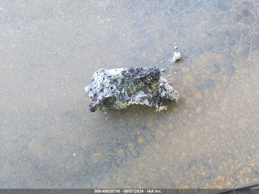 5NPET46C79H444577 2009 Hyundai Sonata Gls