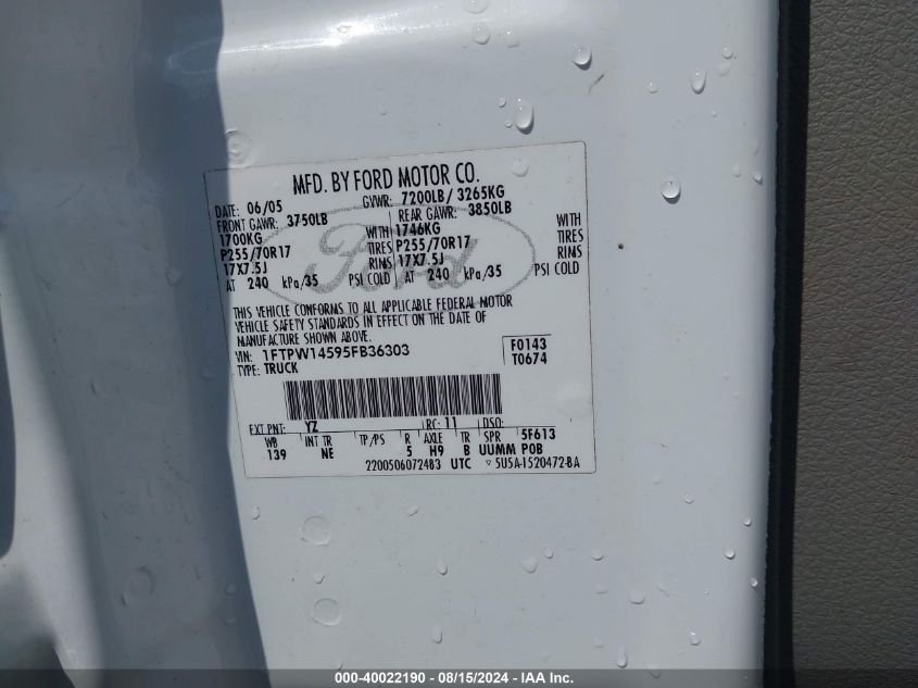 2005 Ford F-150 Fx4/Lariat/Xlt VIN: 1FTPW14595FB36303 Lot: 40022190