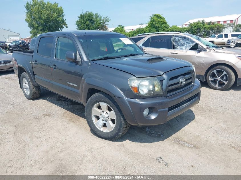 2009 Toyota Tacoma Base V6 VIN: 3TMLU42N49M036902 Lot: 40488230