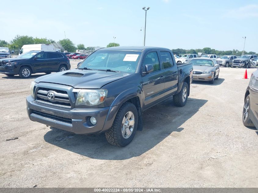 2009 Toyota Tacoma Base V6 VIN: 3TMLU42N49M036902 Lot: 40488230