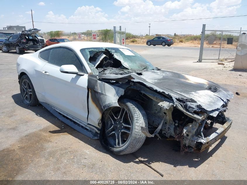 1FA6P8TH1K5172068 2019 FORD MUSTANG - Image 1