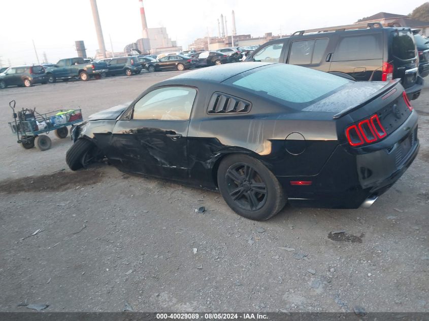 1ZVBP8AM4D5226388 | 2013 FORD MUSTANG