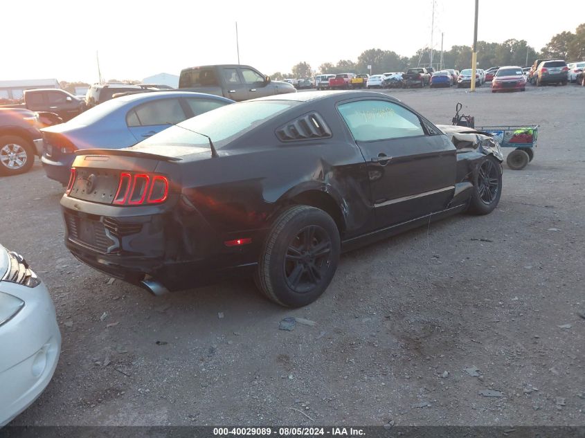 1ZVBP8AM4D5226388 | 2013 FORD MUSTANG