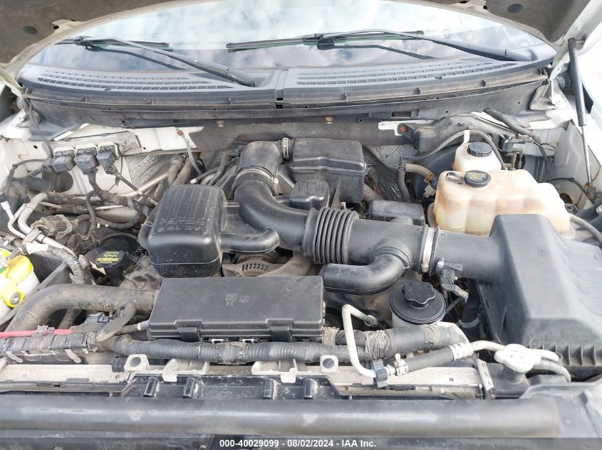 2010 Ford F-150 Fx4/Harley-Davidson/King Ranch/Lariat/Platinum/Xl/Xlt VIN: 1FTFW1EV8AKC01038 Lot: 40029099