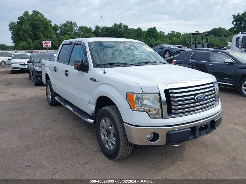 1FTFW1EV8AKC01038 | 2010 FORD F-150