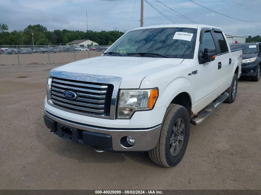 1FTFW1EV8AKC01038 | 2010 FORD F-150