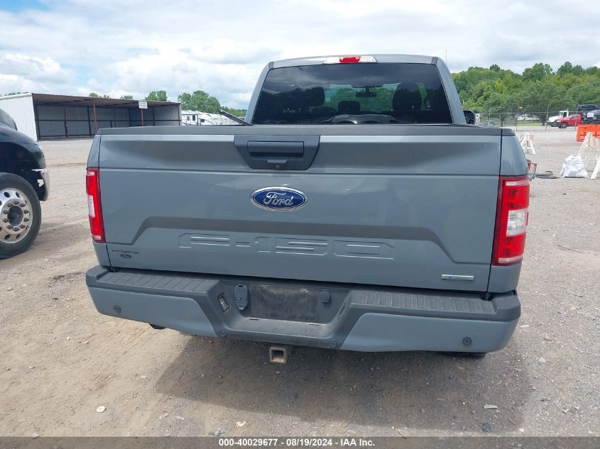 2019 FORD F-150 XL - 1FTEX1EP7KKD54229