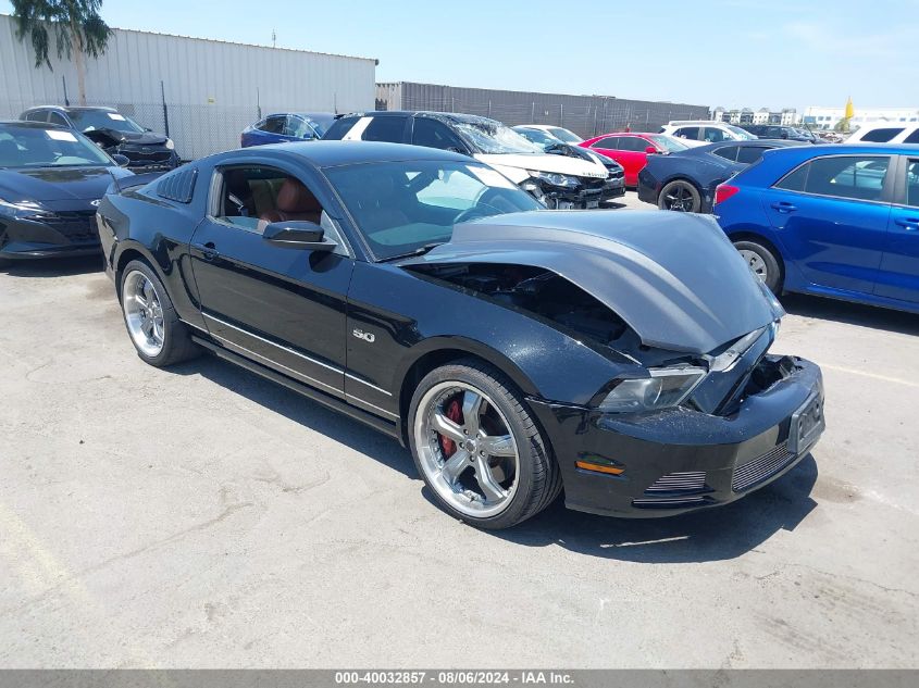 2013 Ford Mustang Gt VIN: 1ZVBP8CF5D5284489 Lot: 40032857