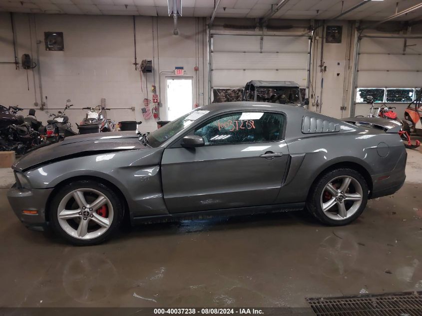 2010 Ford Mustang Gt Premium VIN: 1ZVBP8CH8A5141632 Lot: 40037238