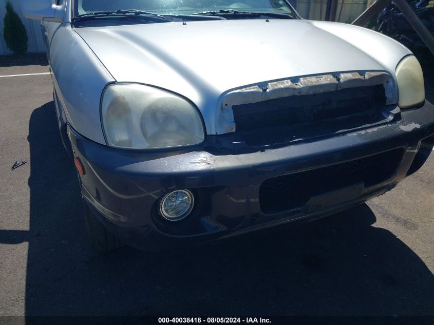 2003 Hyundai Santa Fe Gls/Lx VIN: KM8SC73E53U507002 Lot: 40038418