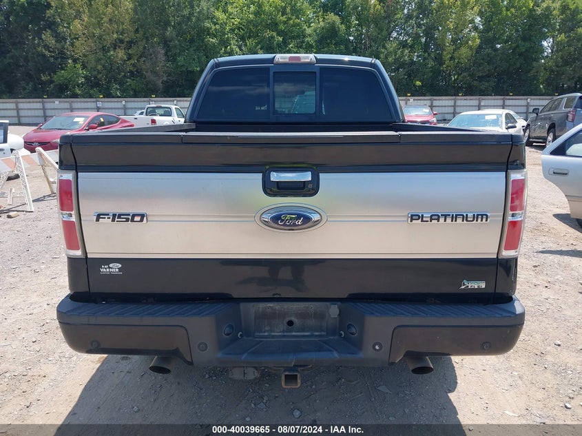 2010 FORD F-150 VIN: 1FTFW1EV7AFB17396