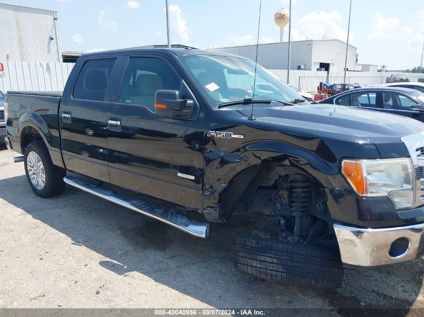 2013 FORD F-150 XLT - 1FTFW1CTXDKF25064