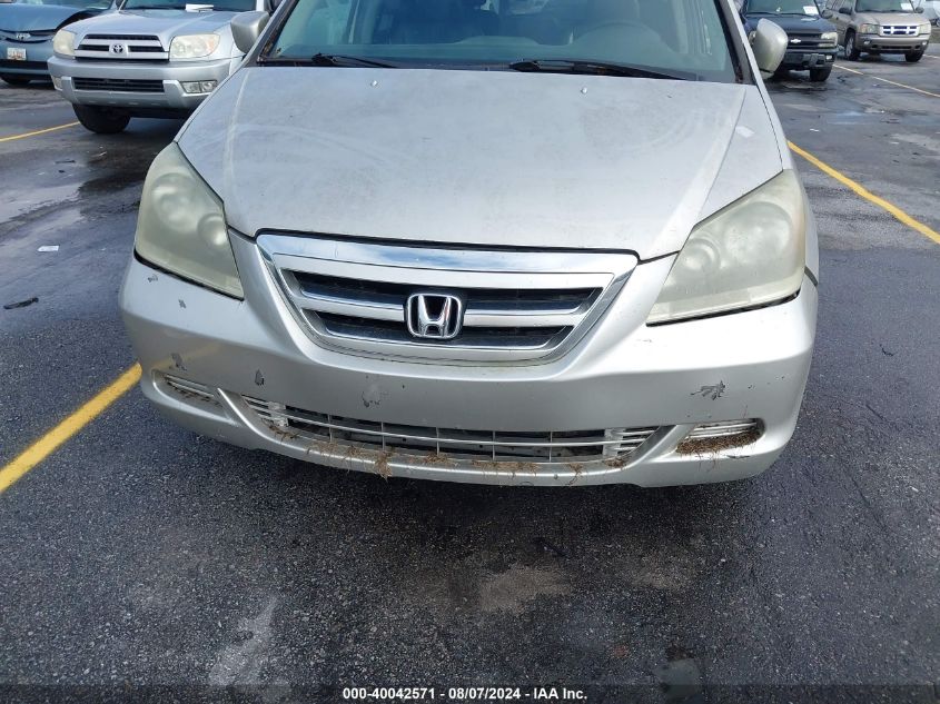 2005 Honda Odyssey Ex-L VIN: 5FNRL38625B018436 Lot: 40042571