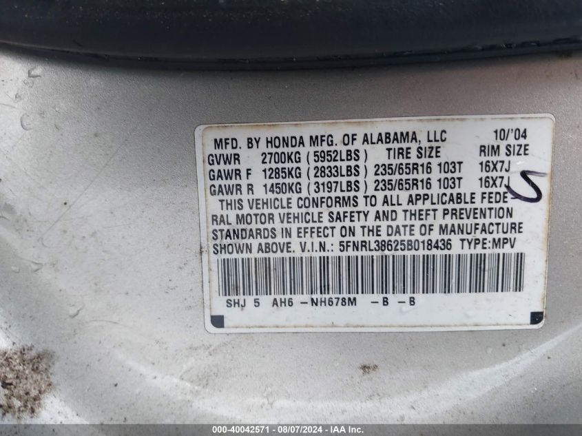 2005 Honda Odyssey Ex-L VIN: 5FNRL38625B018436 Lot: 40042571