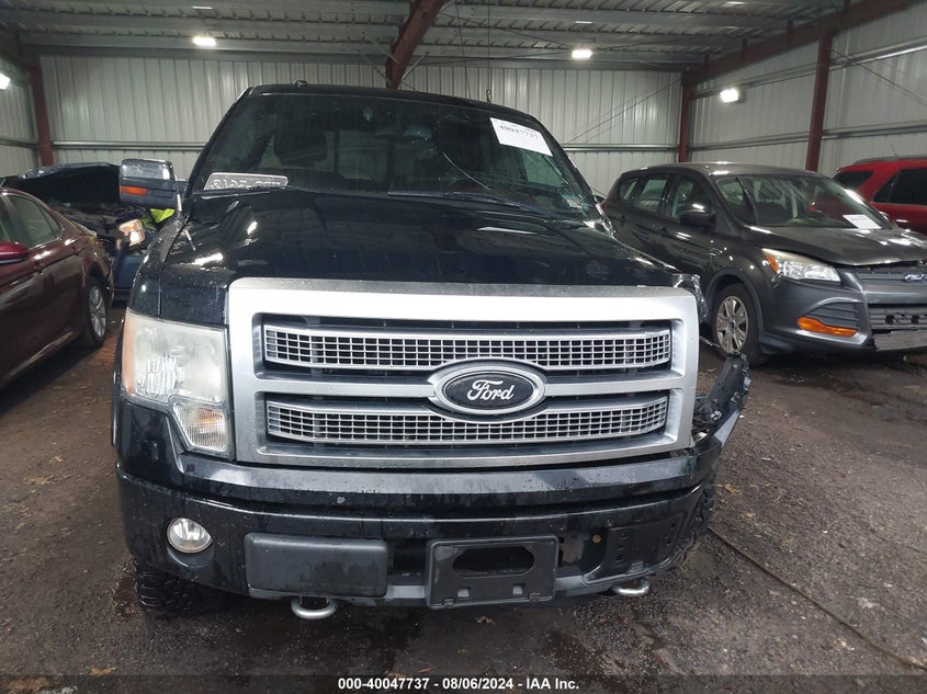 2009 Ford F-150 Fx4/King Ranch/Lariat/Platinum/Xl/Xlt VIN: 1FTPW14V09FA74182 Lot: 40047737