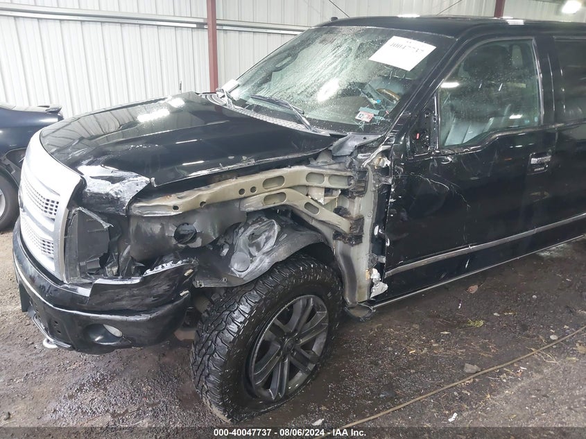 2009 Ford F-150 Fx4/King Ranch/Lariat/Platinum/Xl/Xlt VIN: 1FTPW14V09FA74182 Lot: 40047737