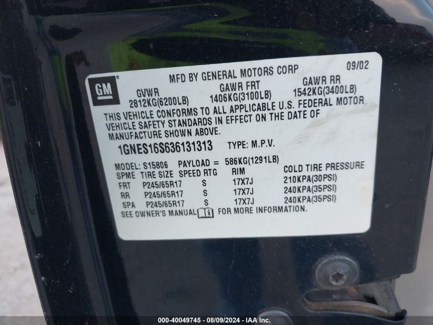 2003 Chevrolet Trailblazer Ext VIN: 1GNES16S636131313 Lot: 40049745