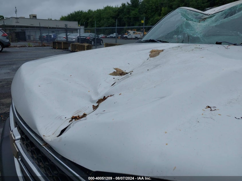 2006 Chevrolet Silverado 1500 Work Truck VIN: 1GCEK19Z96Z266080 Lot: 40051209