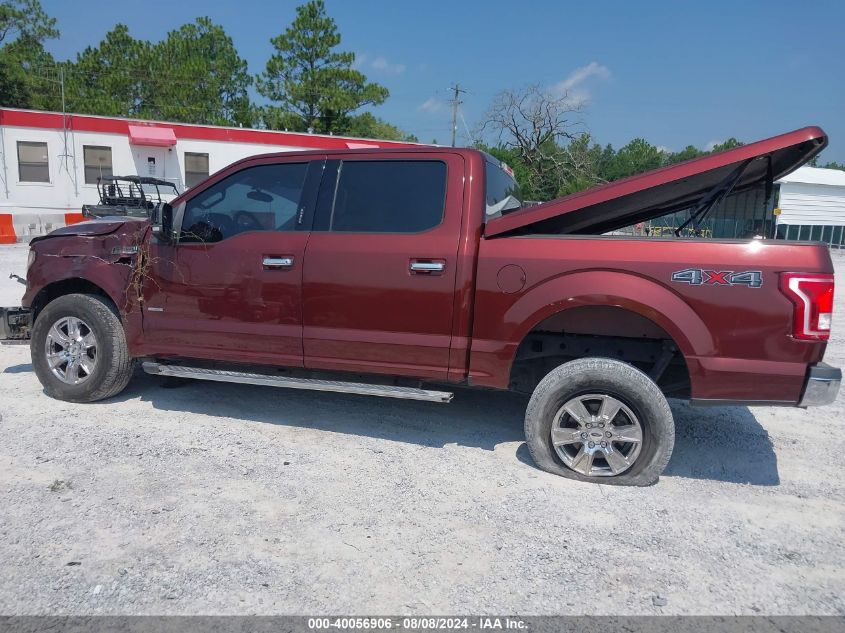 2016 Ford F-150 Xlt VIN: 1FTEW1EP4GFB62995 Lot: 40056906