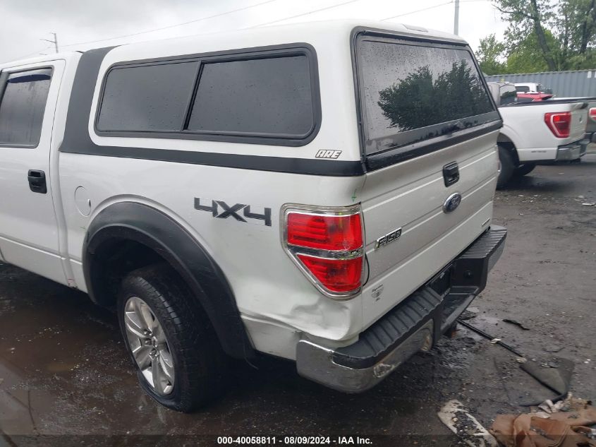 2013 FORD F-150 XLT - 1FTFW1EFXDKE94227