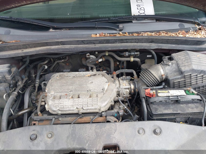 2007 Honda Odyssey Lx VIN: 5FNRL38277B039802 Lot: 40059126