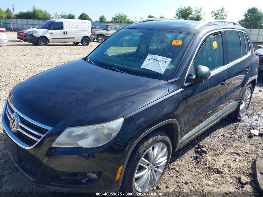 2011 Volkswagen Tiguan Se VIN: WVGAV7AX9BW549976 Lot: 40059675