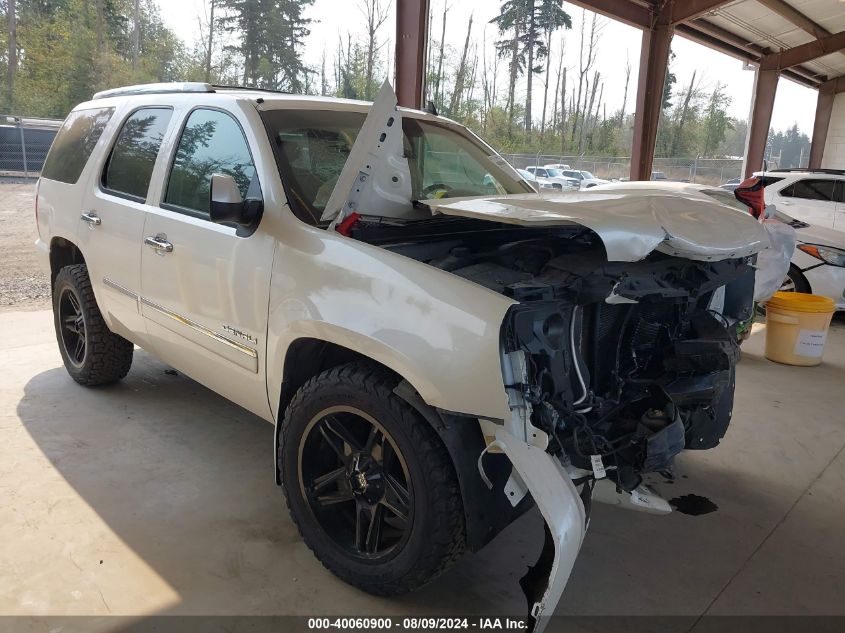 2010 GMC Yukon Denali VIN: 1GKUKEEF5AR161880 Lot: 40060900