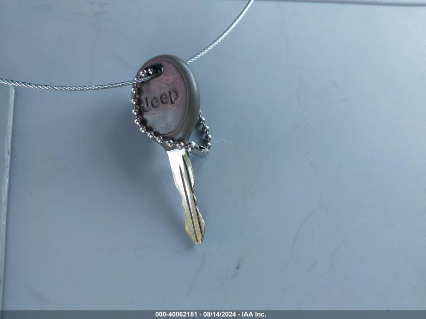 2000 Jeep Grand Cherokee Laredo VIN: 1J4GW48NXYC265663 Lot: 40062181